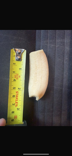 Rare hula hoop crisp - hoop,